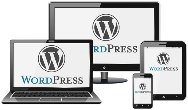 Build SEO Friendly Websites with WordPress Development removebg preview